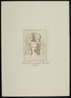 Drawings by Parmigianino