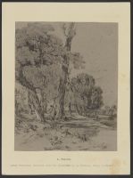 Shepherd in a wooded landscape  