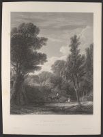 A Woodland View