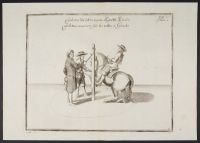 Equestrian study - horse jumping in the volte circle