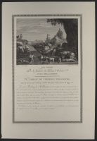 The Cows (Les vaches)