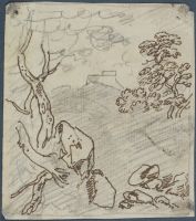 Page in an album