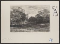 At Dartington