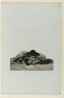 Recueil de trente eaux-fortes
