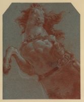 Rearing horse 