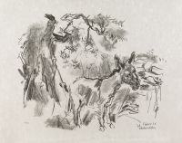 Apulia - Ciccio the Donkey (Der Esel Ciccio)
