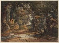 Landscape - a lane near Shrewsbury