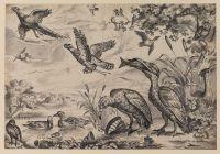 Gathering of birds of different species