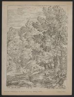 Wooded landscape