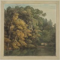 Trees in Peamore Park, Exeter