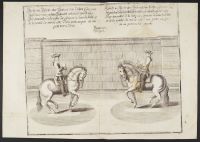 Two equestrian studies