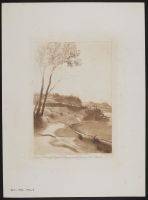 Landscape with a tree and a shore with a boat