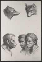 Three male human heads and two fox heads