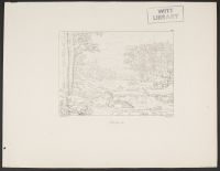 Landscape (Paysage)