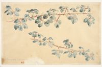 Two branches of roses with leaves