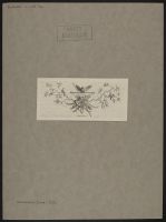 Vignette with owl and weapons
