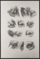 Studies of animal eyes