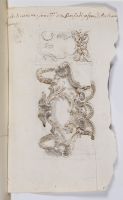 Design of an architectural ornament