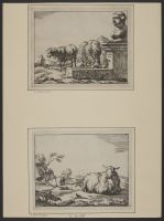 Frontispiece to the series 'Sheep'