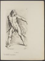 Male nude