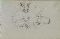 Head of cow, two studies of dogs (recto)