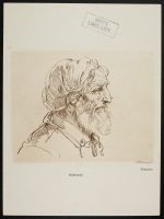 Head of an old man in profile