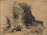 Ruin, overgrown with trees