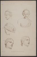 Bust of Sappho, Venus de Medicis and Niobe.