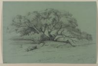 Landscape with trees, and an angler by a stream