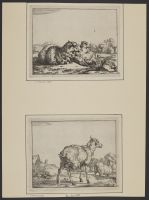 A pissing ewe in a landscape, seen from behind