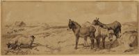 Landscape with sheep and donkeys
