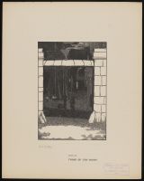 Those of the night