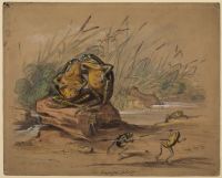 Conjugal felicity and frogs' duel