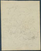 Page in an album