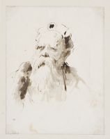 Bearded man