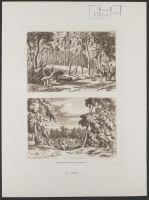Entrance to the Wood at Hougoumont, and The Orchard at Hougoumont, from the Wood