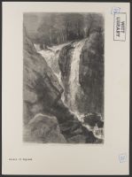 Falls at Penmachno