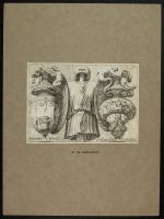 Façade of the Palazzo Milesi: Design for wall decoration