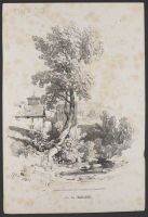 A tree with buildings and hills in the background