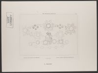 The Region of the Sun, The, Paradiso Canto 12, Plate 12