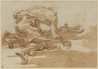 Penitent Saint Jerome