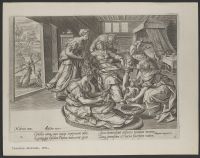 The Widow's Oil. the following year the woman gives birth to a  son just as Elisha had told her.