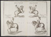 Four equestrian studies