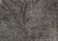 The Painter's Garden