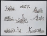 Cattle Market