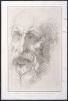 Study for the St. Bartholomew in the Celebrated Fresco of the Last Judgment