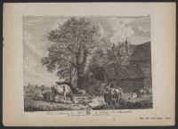 Farmyard scene