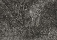 The Painter's Garden