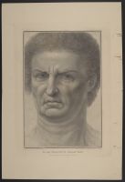 Head of a Man