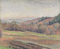 Old Mark's Field, Coldharbour, Surrey